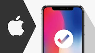 iPhone handsets