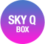 Sky Q box