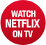 Watch Netflix on TV!