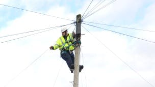 Engineer on a telegraph pole