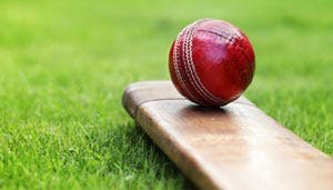 Cricket bat and ball