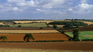 Rural countryside
