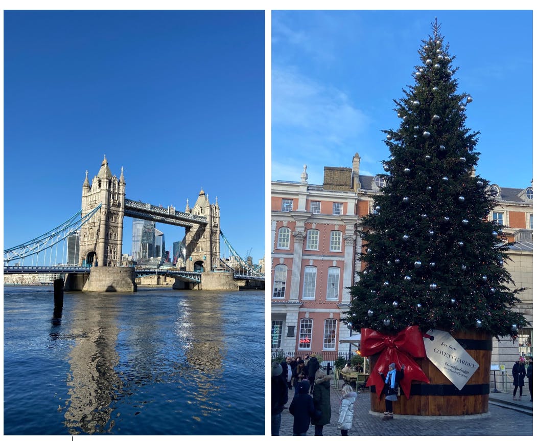 iPhone 11 Tower Bridge and Christmas Tree