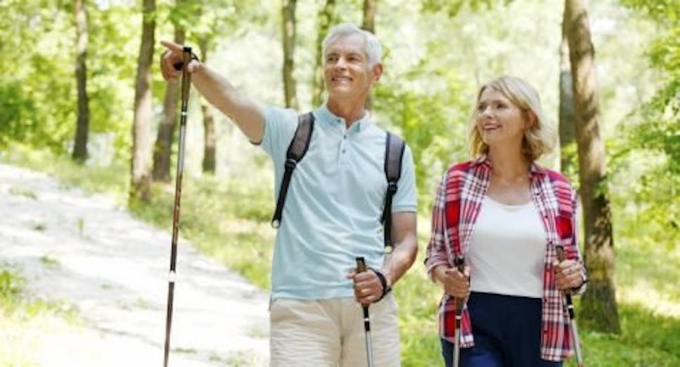 Couple taking a walk in the woods