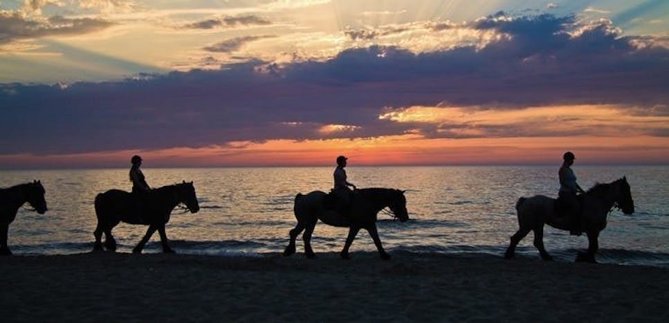 Horses riding along a beach at sunset
