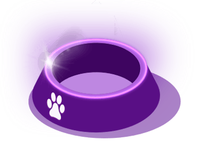Image of a dog bowl in purple hues