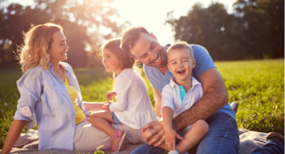 A family having a picnic outside on the grass