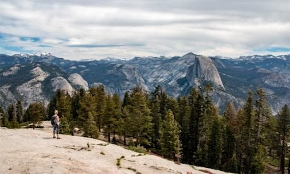 View of Half Dome, Yosemite