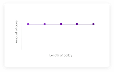 Chart depicting level term insurance with cover on the X axis level for the length of policy on the Y axis