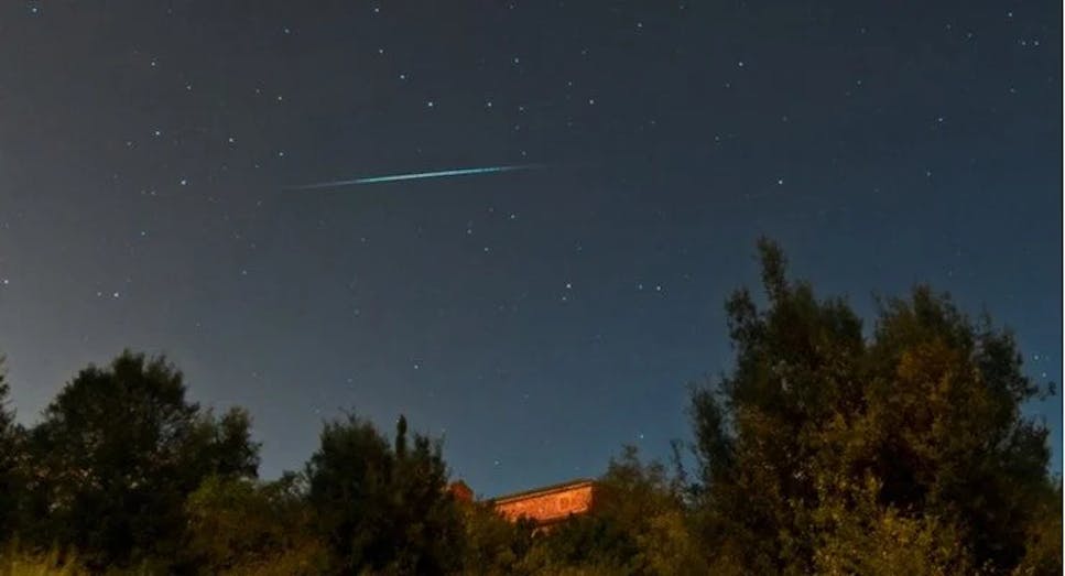 A meteor crosses the night sky over a wooded area
