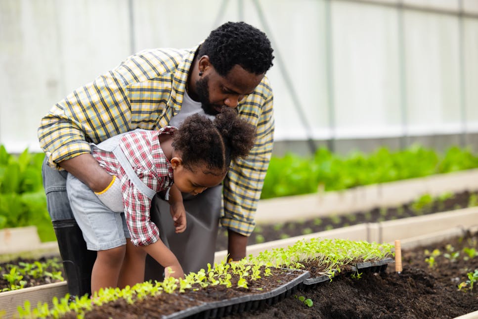 Dad gardening with daughter