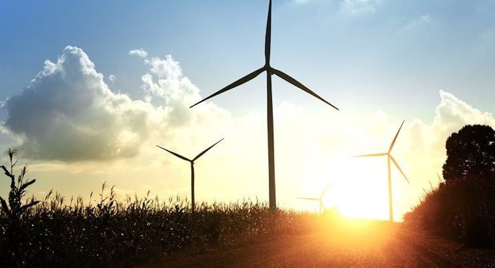 Wind turbines in sunset