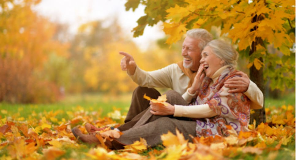 old couple sat together on field surrounded by autumn leaves 