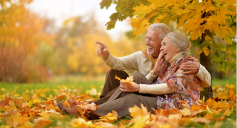 old couple sat together on field surrounded by autumn leaves