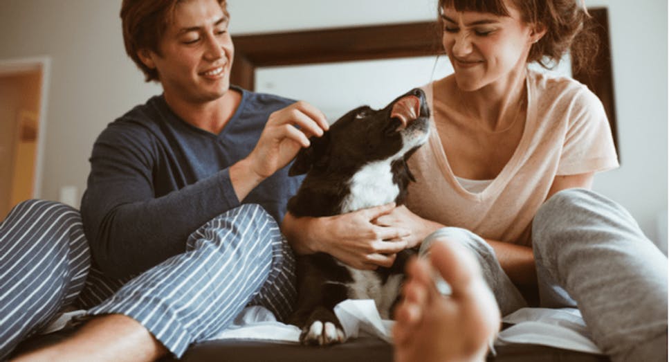 Couple and their dog