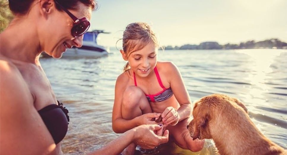 Family on beach with their dog