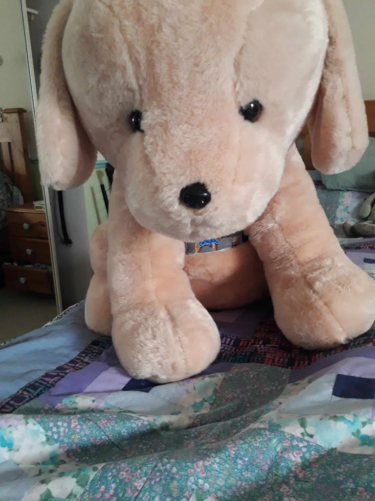 Toy dog