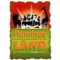 main_flamingo.jpg