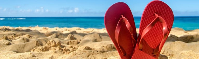 Holiday-fines-blog-main