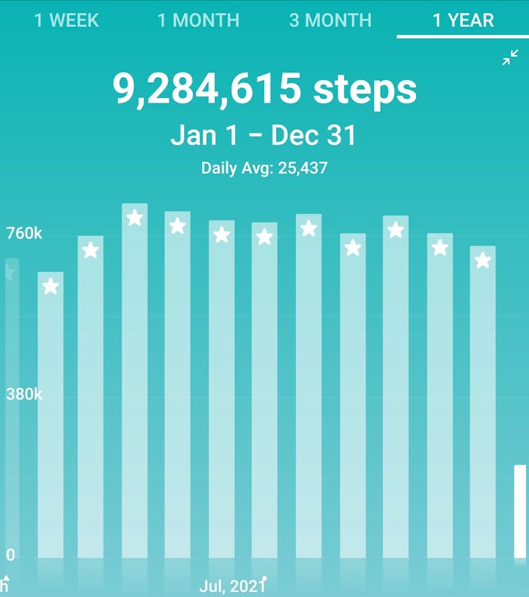 MONTHLY STEPS 2020