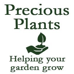 Precious Plants logo square.jpg