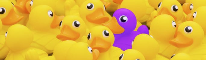 banner ducks one to many
