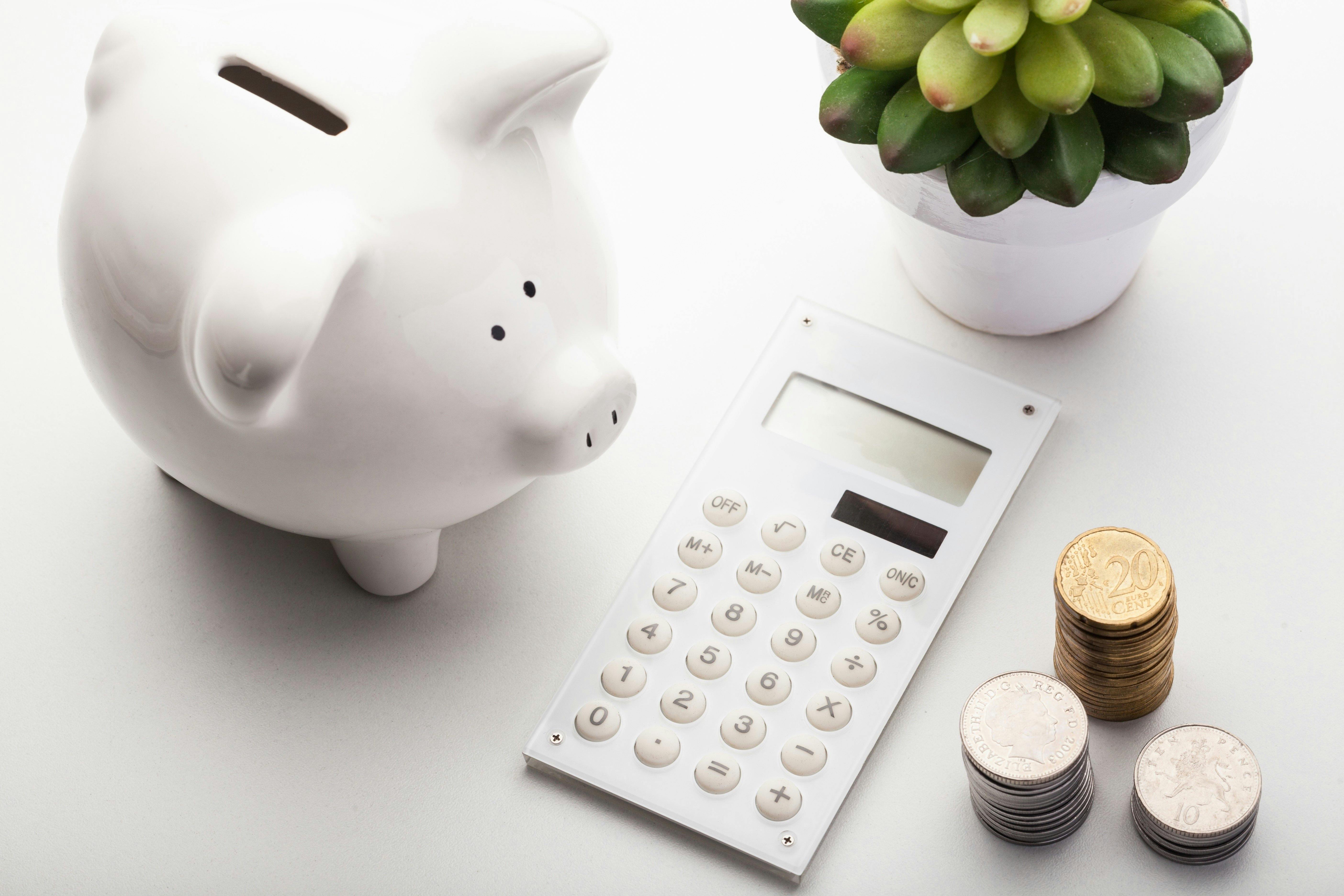 piggy bank nics.png