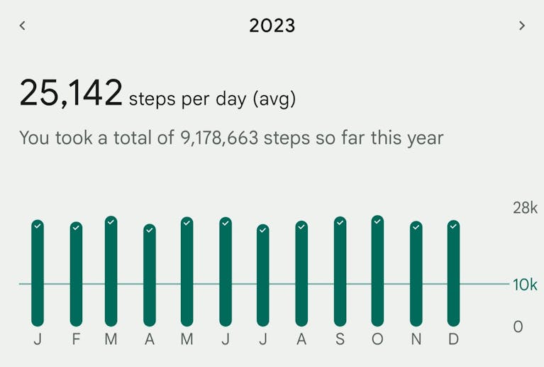 A screengrab of Martin's fitness tracker, showing his 2023 stats, with a daily average of 25,142 steps. Martin took a total of 9,178,663 recorded steps during the year.