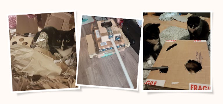 cat-box-crafts.png