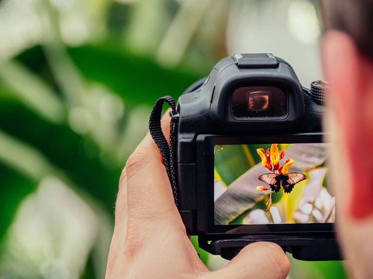 Camera held by photographer