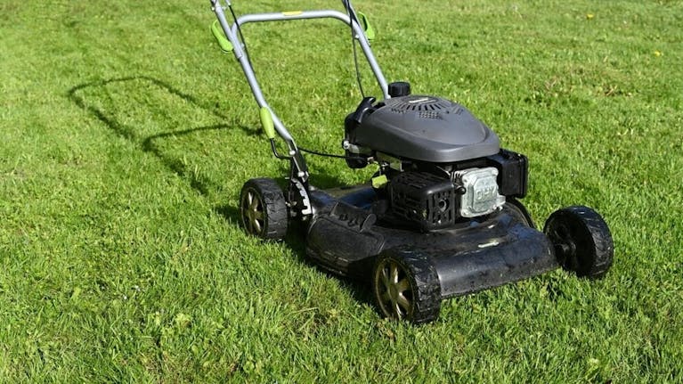 A petrol lawnmower on green grass