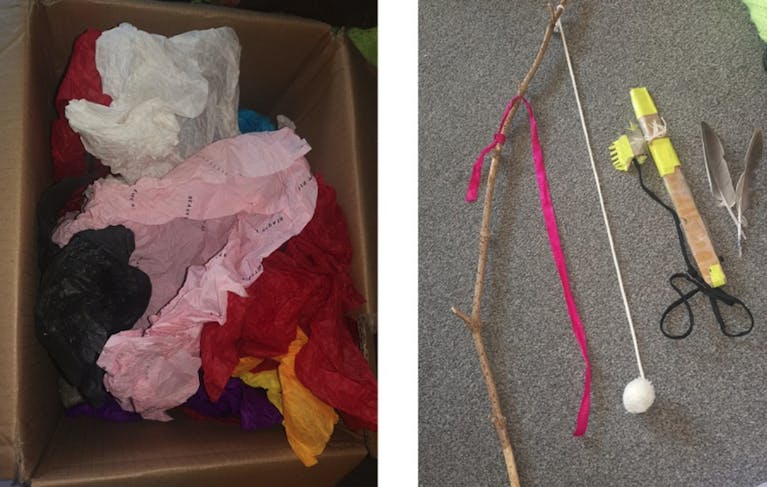 Tissue paper, feathers, a branch with string attached and other homemade pet toys
