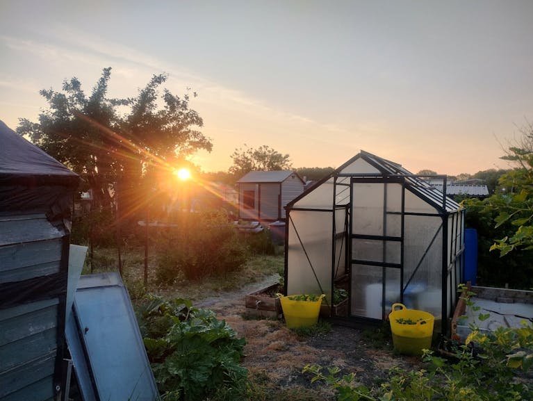 Allotment at 5am