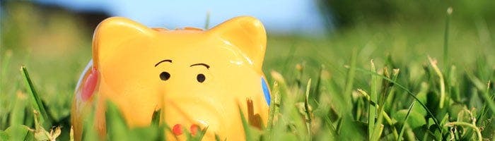 piggy-bank-yellow-grass-child