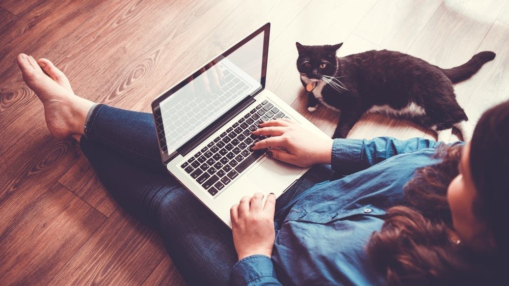 hero-homepage-broadband-internet-laptop-woman-cat.jpg