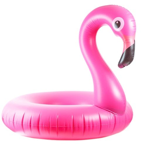 flamingo-pool-inflatable.jpg