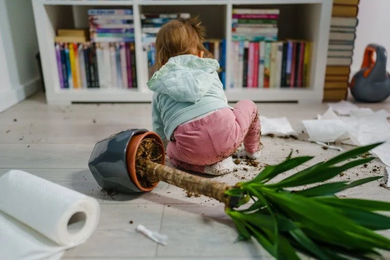 child causing damage_home insurance
