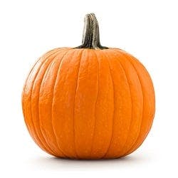 Pumpkin-square.jpg