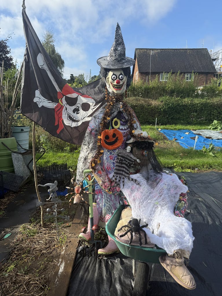 Halloween scarecrow on allotment