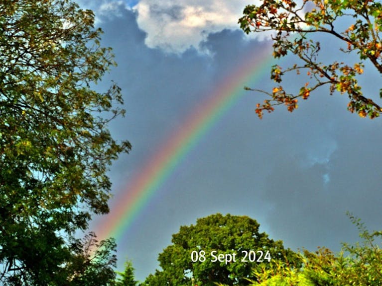Rainbow
