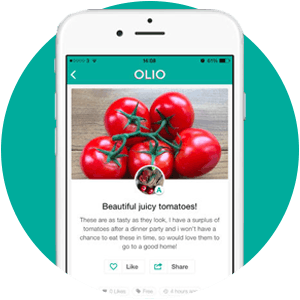 olio_app.png