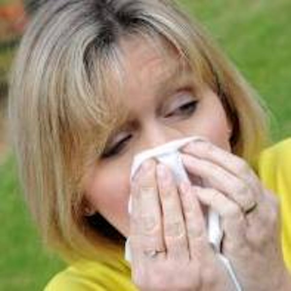 sneeze