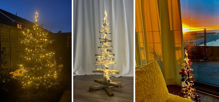 Planted Christmas tree next to two pictures of homemade Christmas trees
