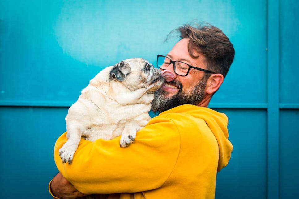 Cheap pet insurance.