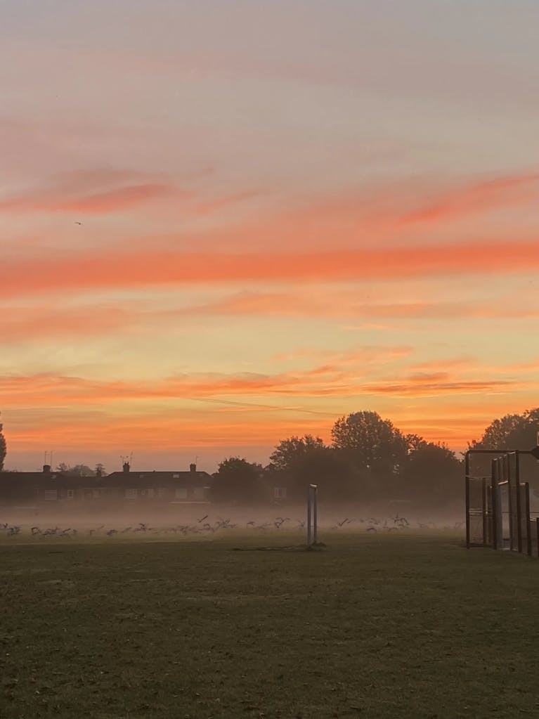 Sunrise photo posted on MSE Forum