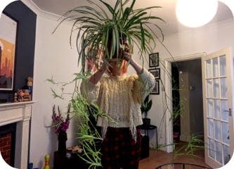 igd-plant-Cheryl.jpg