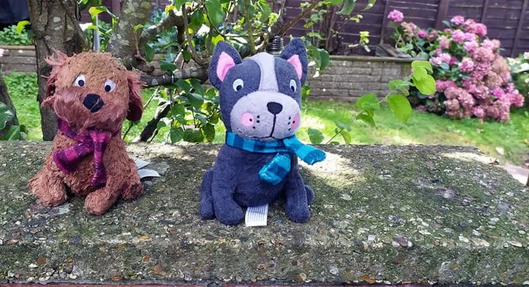 Cuddly toys