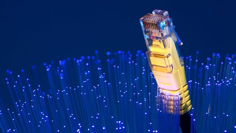 close up image of yellow ethernet cable connector against blue background