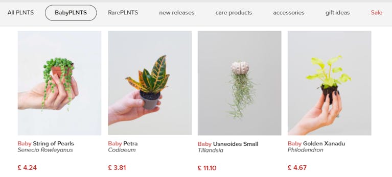 houseplants-babyplnts-screenshot.png