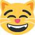 😸